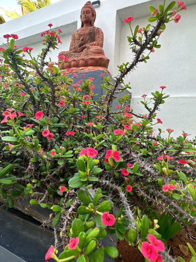 Buddha Beach Hotel コーバラム エクステリア 写真